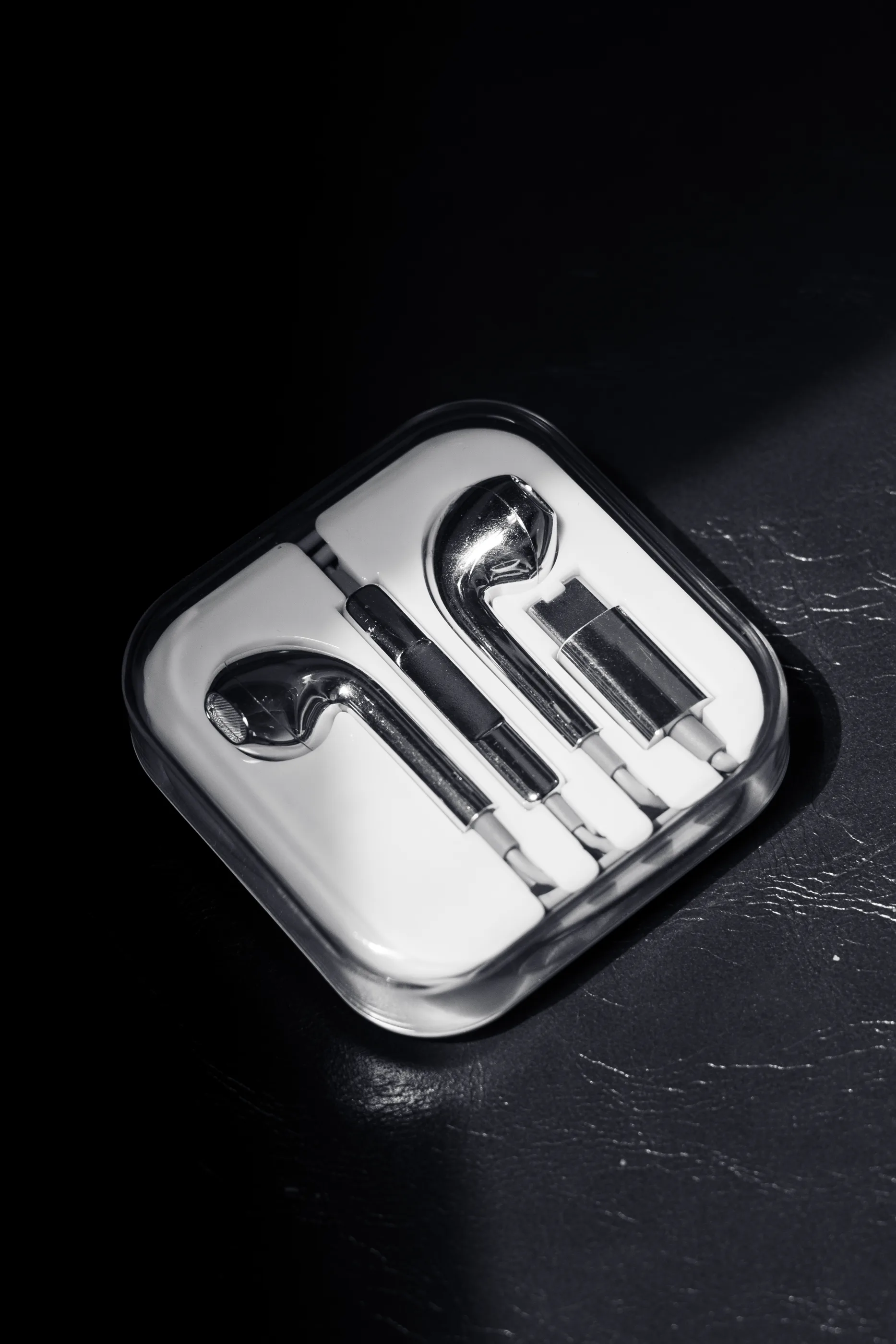 925 Chrome Wired Earphones in case