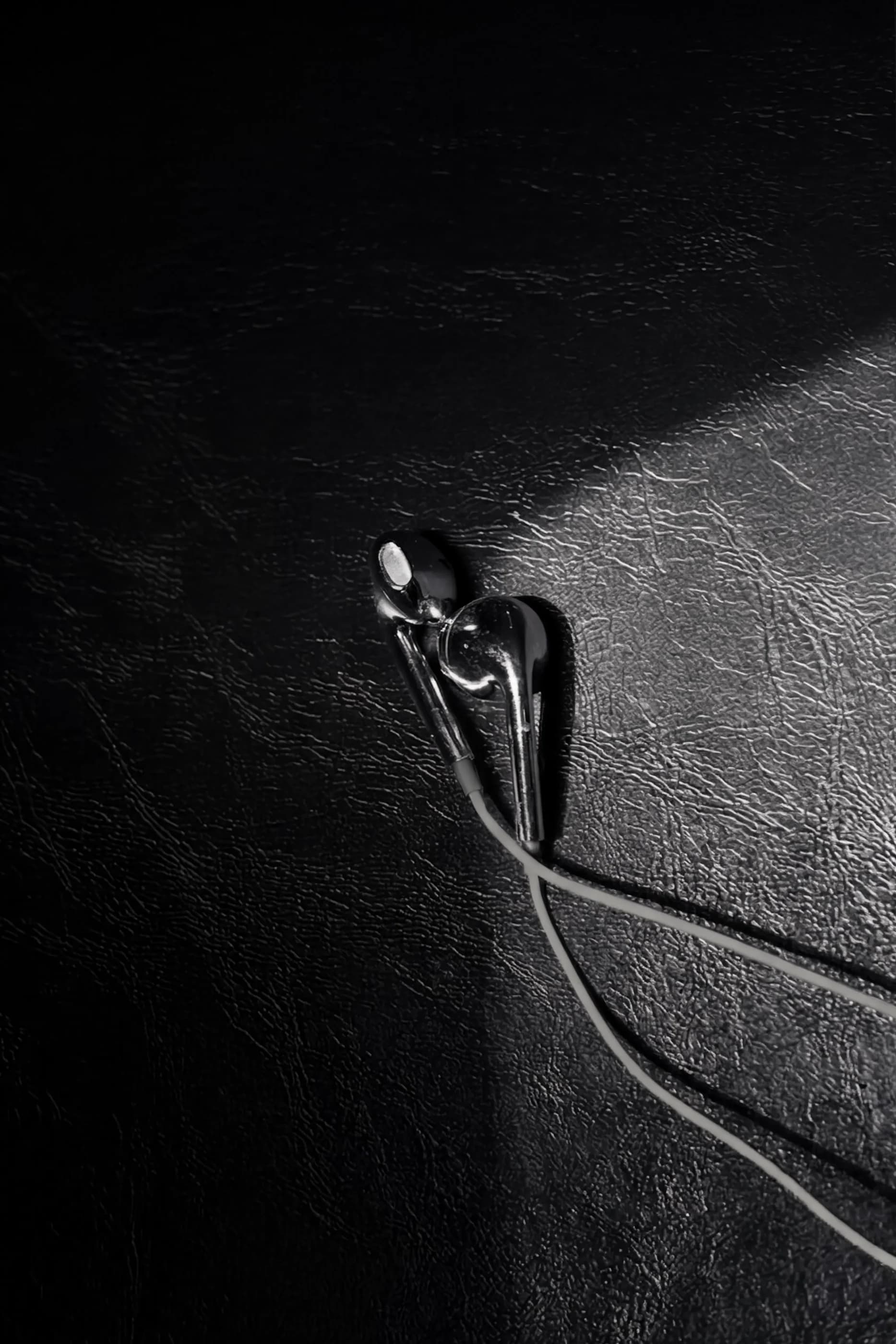 925 chrome wired earphones